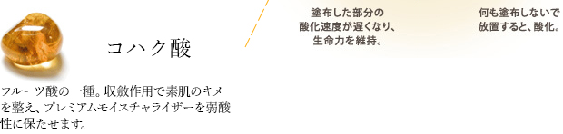 コハク酸 - フルーツ酸の一種。収斂作用で素肌のキメを整え、プレミアムモイスチャライザーを弱酸性に保たせます。